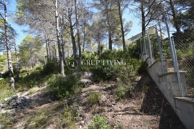TERRENO EN LA ENTRADA DE CAN SURIÀ, OLIVELLA — 11