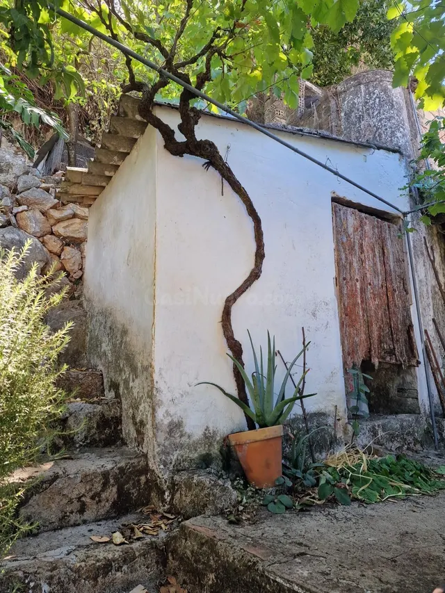 VENTA DOS VIVIENDAS UBRIQUE. ZONA LOS PINITOS - foto 4