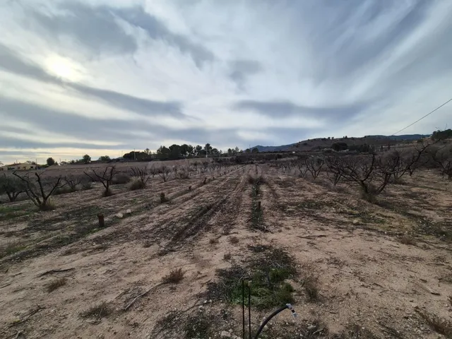 TERRENOS EN VENTA - foto 3