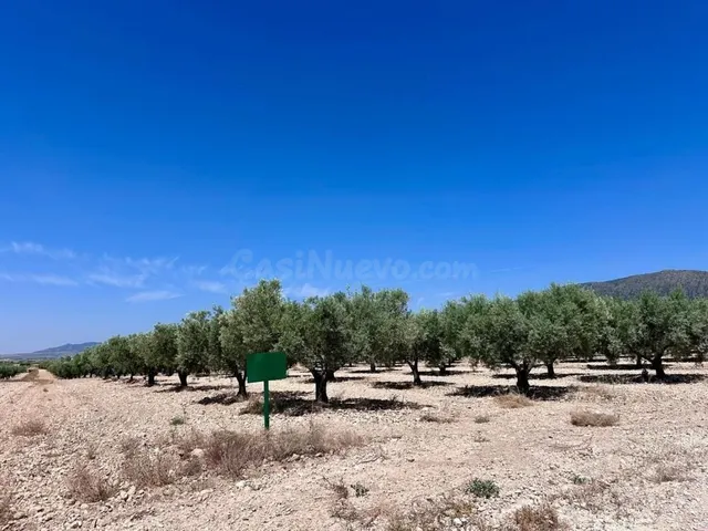Parcela en venta - Comunidad valenciana - foto 4