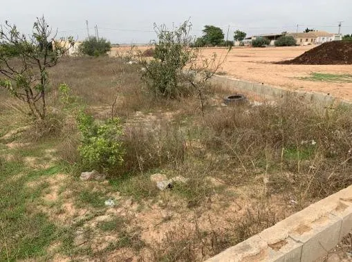 Terreno urbano para construir en venta en carretera al Albuj - foto 3