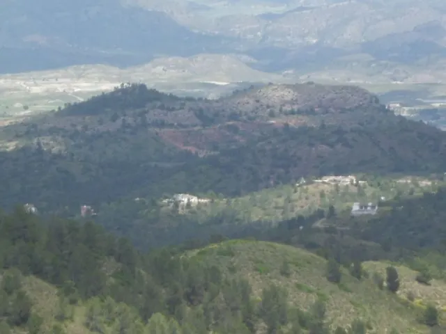 Finca Rústica, LOS GOMEZ, JARALES — 15