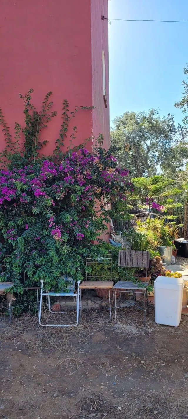 Magnifica propiedad  en Caños de Meca La Breña — 4