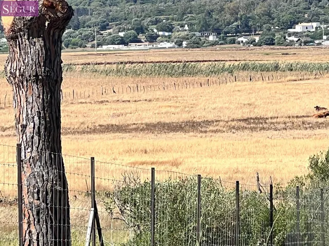 Parcela rústica ideal para Caballos, ganado. - foto 3