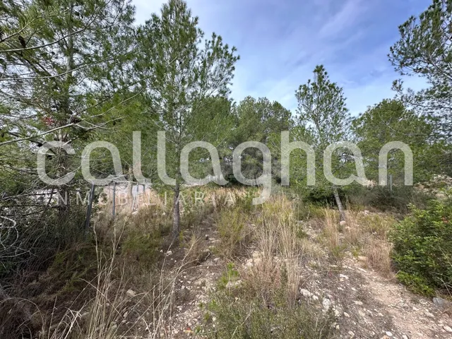 Terreno para construir la casa de tus sueños en Colinas de S - foto 4
