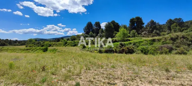 Finca rustica para rehabilitar — 7
