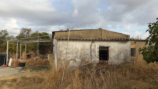 ¡Ocasión en Trigueros! Finca rústica totalmente legalizada con excelente acceso y gran tranquilidad — 38