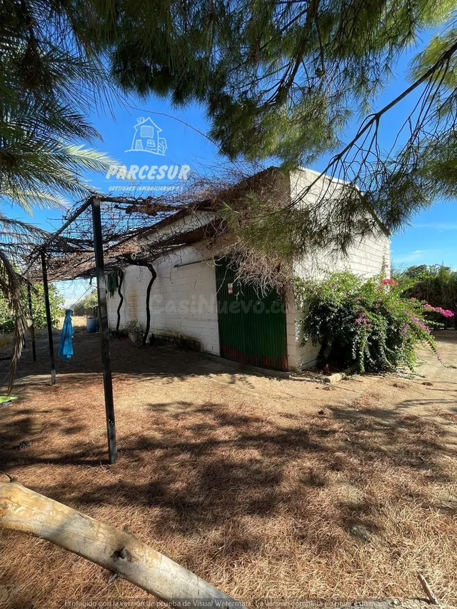 PARCELA DE TERRENO DE 3.000 M2 CON POZO Y LUZ DE ENDESA - foto 3