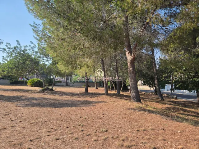 GRAN PARCELA EDIFICABLE EN LA CAÑADA - foto 4