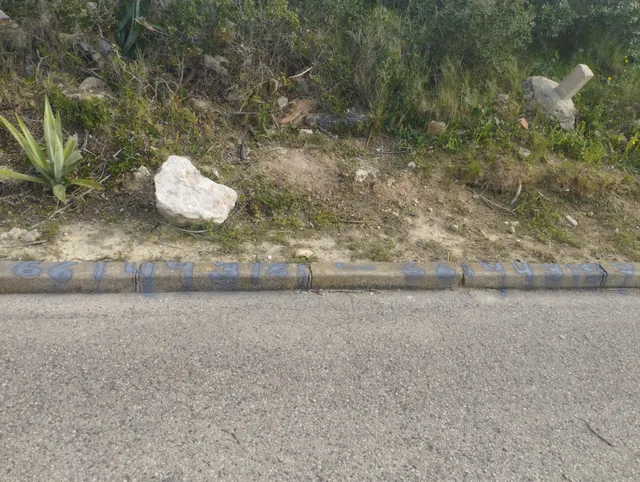 GRAN PARCELA EN VENTA EN CAN GORDEY — 8