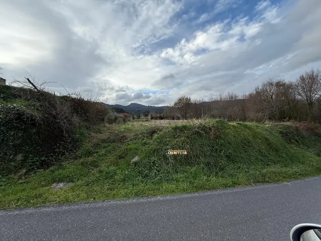 TERRENO EN PORRIÑO