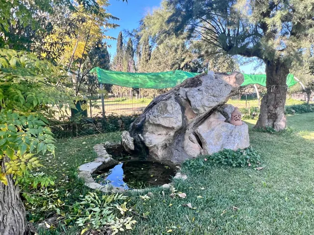 Finca rústica al lado de Muro — 6