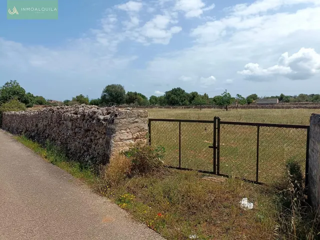 Finca edificable con proyecto