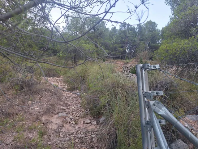 Finca rústica forestal en venta con vistas panoramicas · Castalla (Alicante) — 10