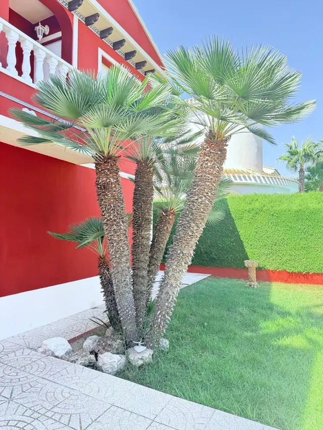 Espectacular chalet en Dehesa de Campoamor con piscina privada a 5 minutos andandoa la playa. — 21