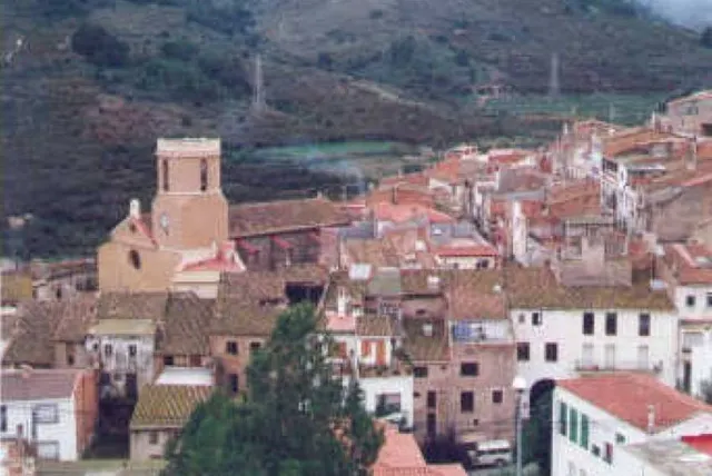 TERRENO RÚSTICO DE SECANO DE AVELLANOS - RIUDECOLS — 19