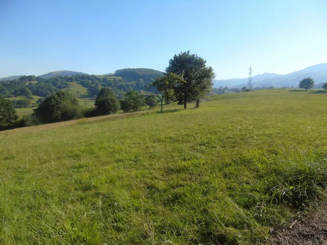 Amplia finca con varias edificaciones — 26