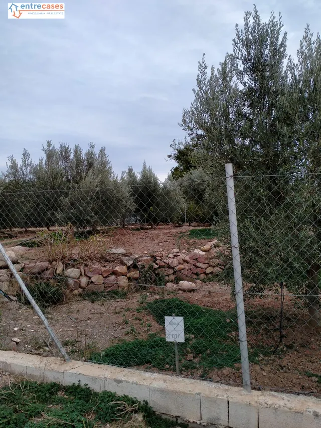 CONJUNTO DE PARCELAS EN PETRÉS — 20