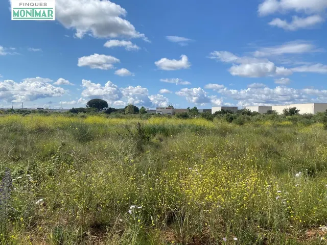 VENTA DE SUELO INDUSTRIAL PARA NAVES EN VALLS - foto 5