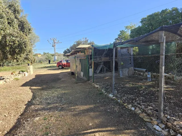 Terreno para recreo vallado y con acceso por camino asfaltado — 14