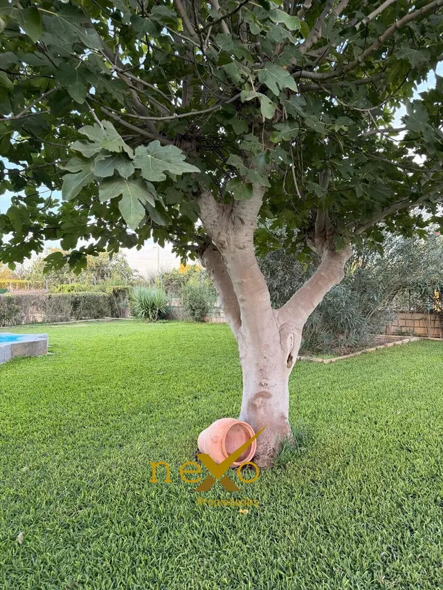 Chalet urbanización el socorro — 44