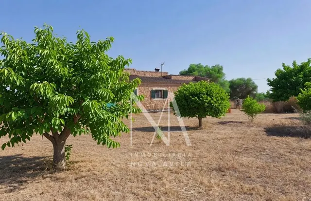 Finca rustica Llucmajor — 19