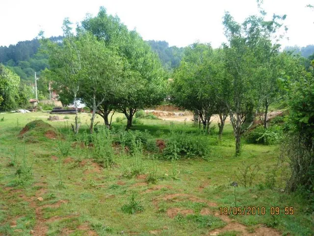 Terreno urbano 3642m² en venta - Novales - foto 4