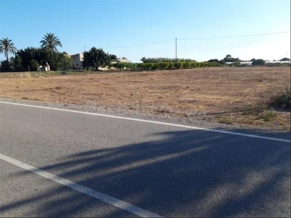 Terreno zona parleta-Elche - foto 5