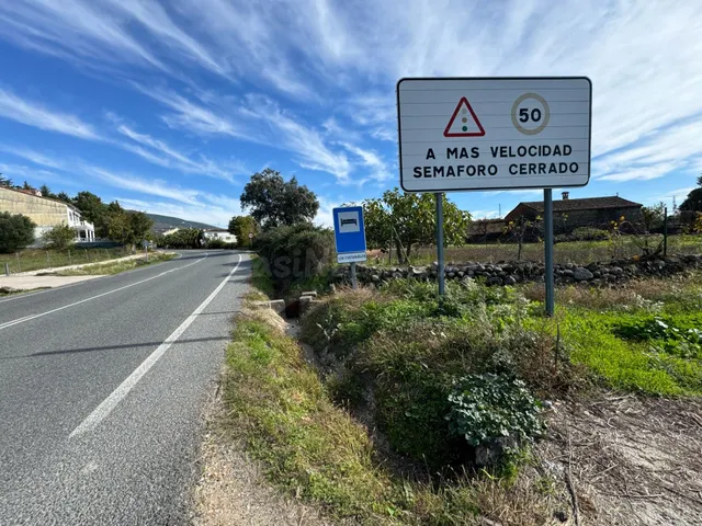 el meloncillo