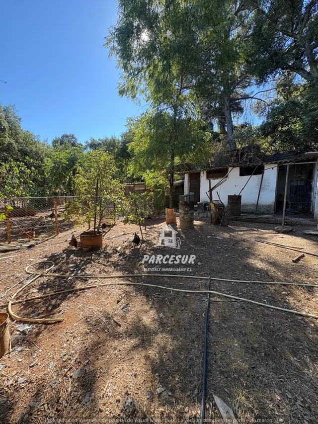 Casa de campo con gran parcela y frutales en Las Siete Finca - foto 4