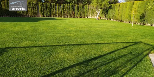 Grupo la Noria Vende Chalet Urbano de 370m2 a pocos km de Albacete. — 29