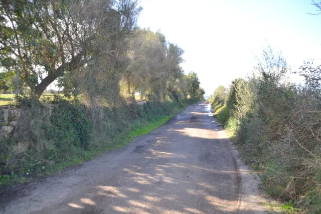 Finca rústica Manacor — 6