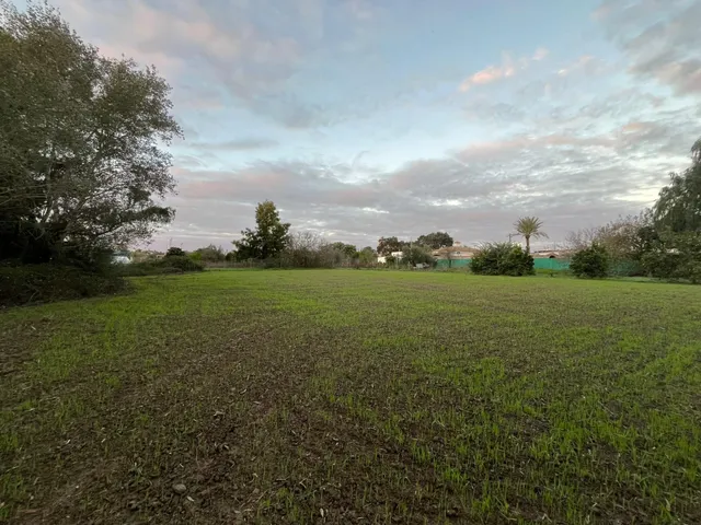 Parcela en mesas del corral — 10