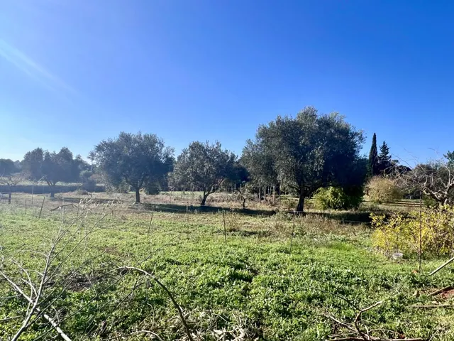 Finca rústica al lado de Muro — 29
