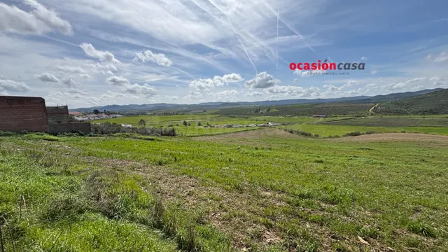 SOLAR DE 1.000 M2 A LA VENTA, DIVISIBLE EN 3 SOLARES - foto 4