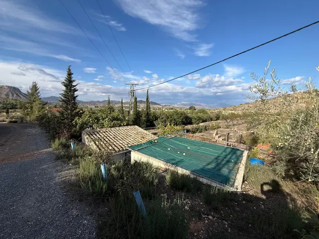 Terreno rústico en venta en tolomó – Aspe (Alicante) — 6