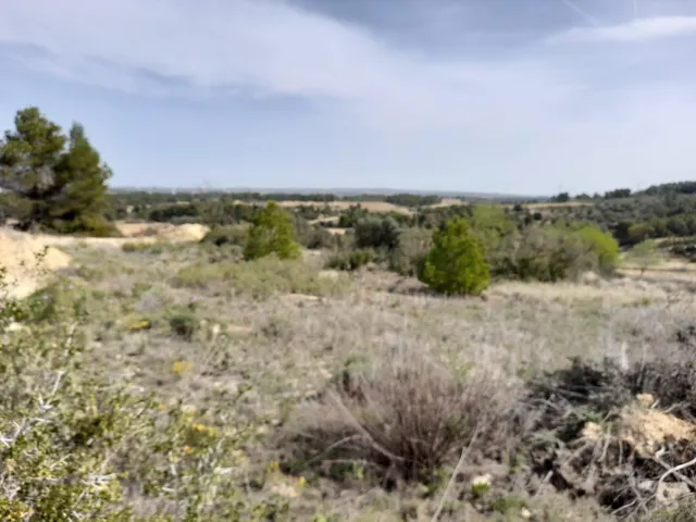 OPORTUNIDAD CASA DE CAMPO CON INMEJORABLES ACABADOS EN FINCA RUSTICA DE BATEA — 48