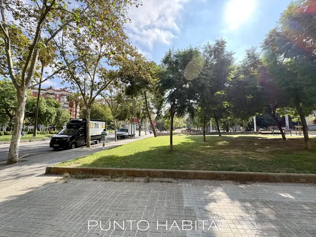 Oportunidad en Les Corts — 46