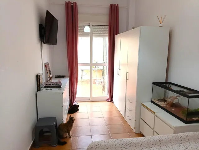 Apartamento en planta baja con patio — 9