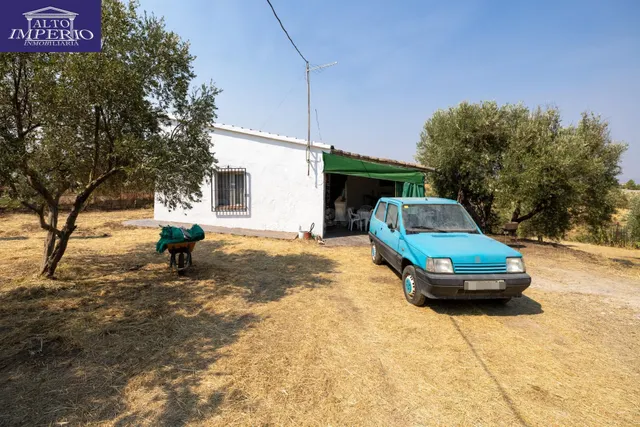 Encanto rústico con casita y olivos en Moraleja de Zafayona 🌿 — 3