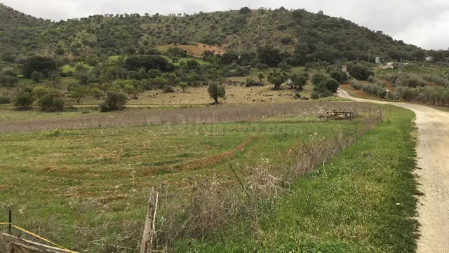 Terreno rústico en Coín: 22.219 m² con potencial de revalorización — 3