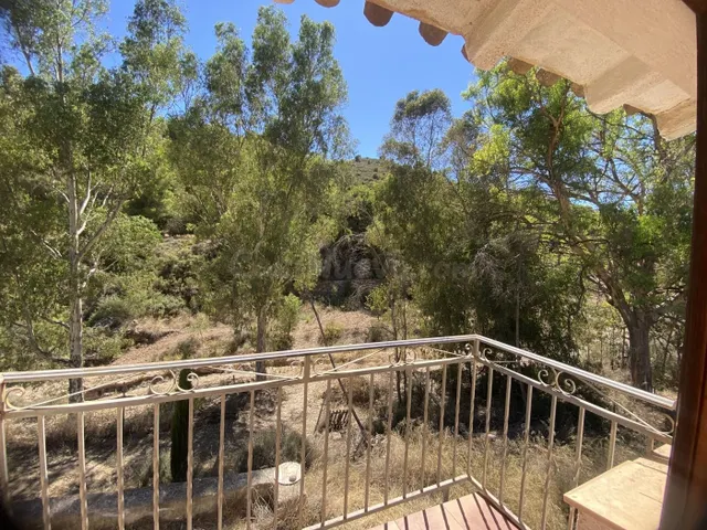 Tranquila finca rústica para reformar cerca de Morata - foto 3