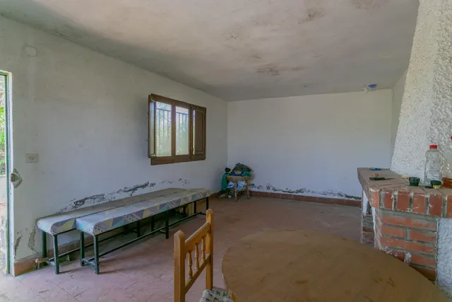 "¡Vive la vida en el campo! Terreno con casa de aperos y cultivos de olivos y frutales en ve — 6