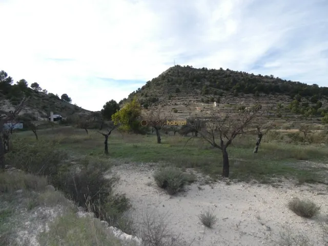 Parcela de 10.041m2 en Monovar - Collado Victoriano — 4