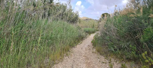 Parcela 330m² en venta - Abanilla — 4