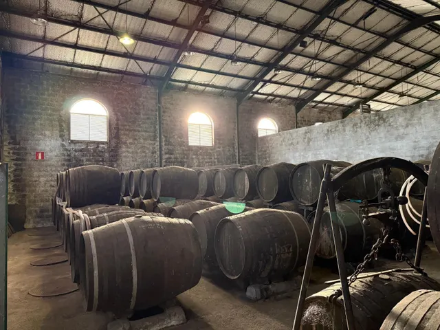 Viñedo de 24,40ha 1300m2 naves y 400m2 restaurante — 27