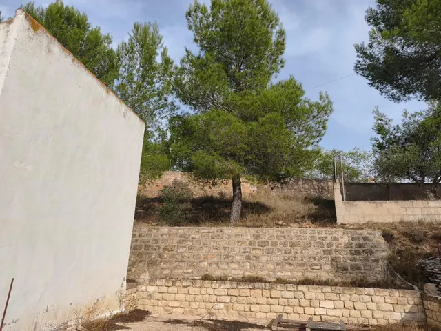 Terreno Rural en Almansa - San José a un Precio Inmejorable — 6