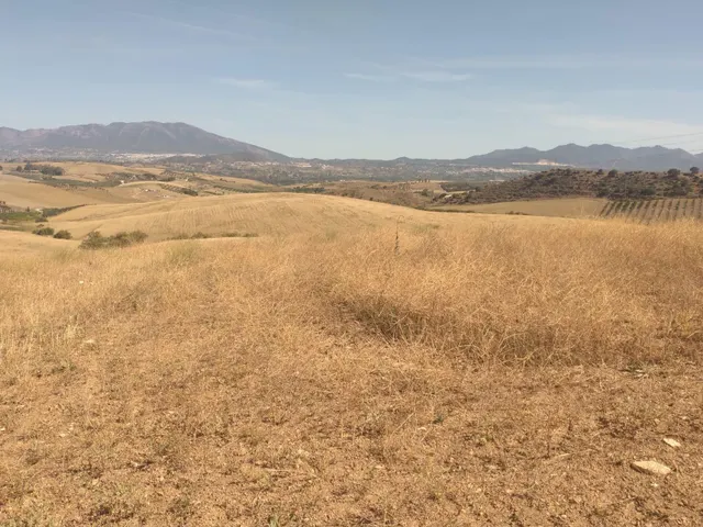 !!EN VENTA TERRENOS NO URBANIZABLES DE GRAN EXTENSIÓN!! — 13
