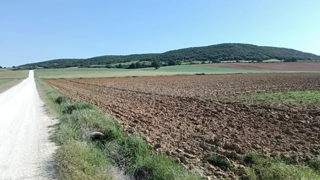 Finca rústica en Ibeas de Juarros