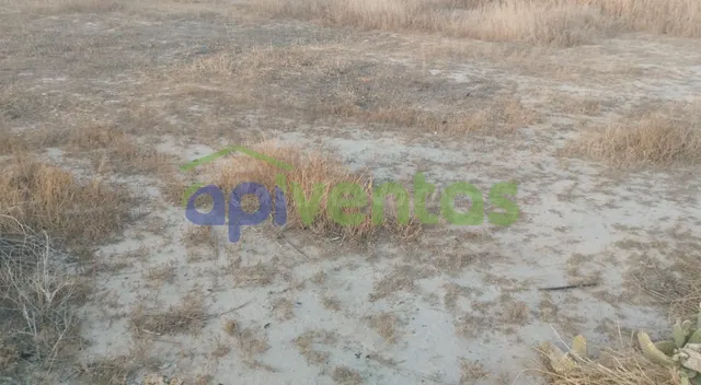 Terreno de Regadío - foto 2